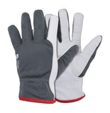 Ziemas darba cimdi WORTEX 2507…2511