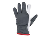 Ziemas darba cimdi WORTEX 2507…2511
