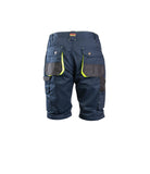 Darba bikses Brixton PRACTICAL 2in1