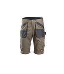 Darba bikses Brixton PRACTICAL 2in1