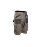 Darba bikses Brixton PRACTICAL 2in1
